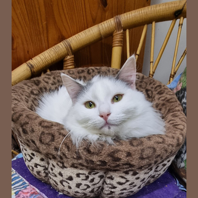 Photo of Jamilla Aka Milla