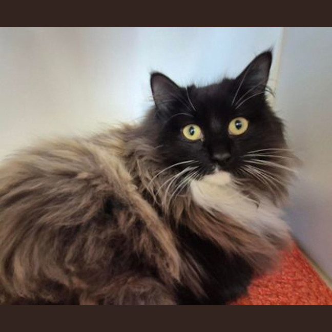 Photo of Bootsie