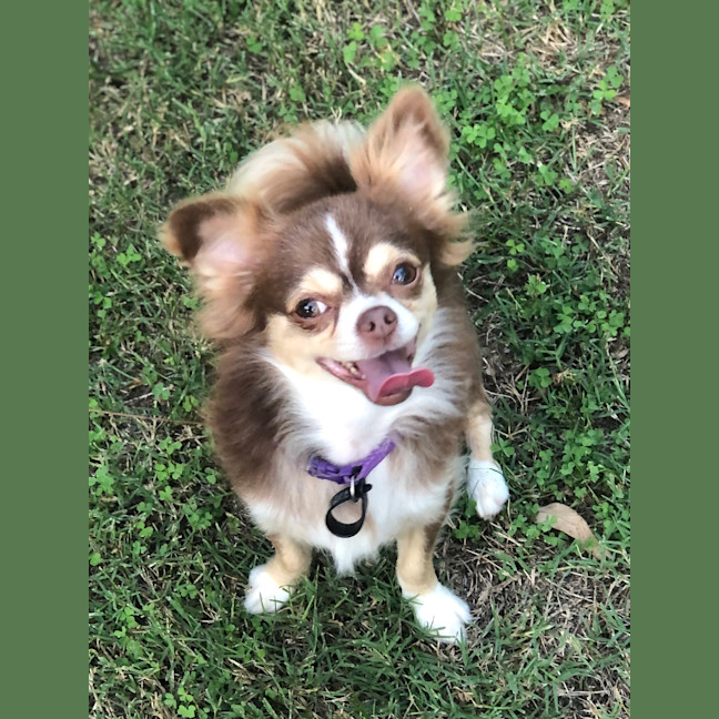 Photo of Bobbie