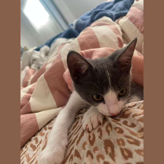 Photo of Eloise