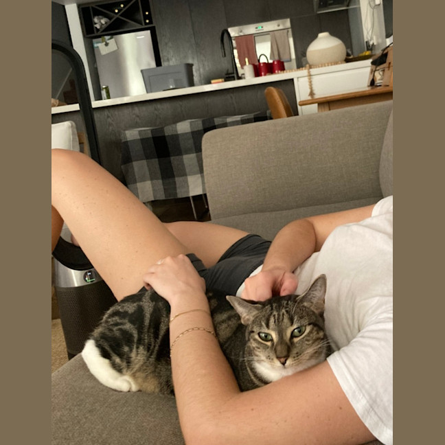 Photo of Kitty