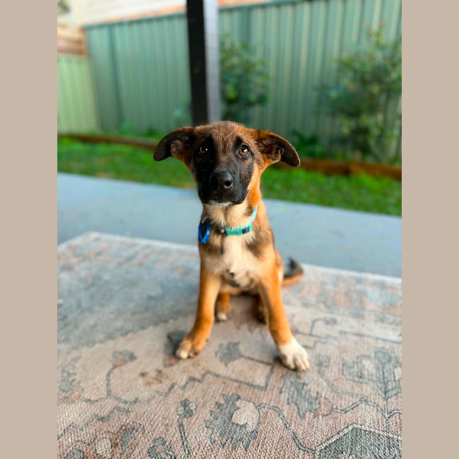 Photo of Hattie