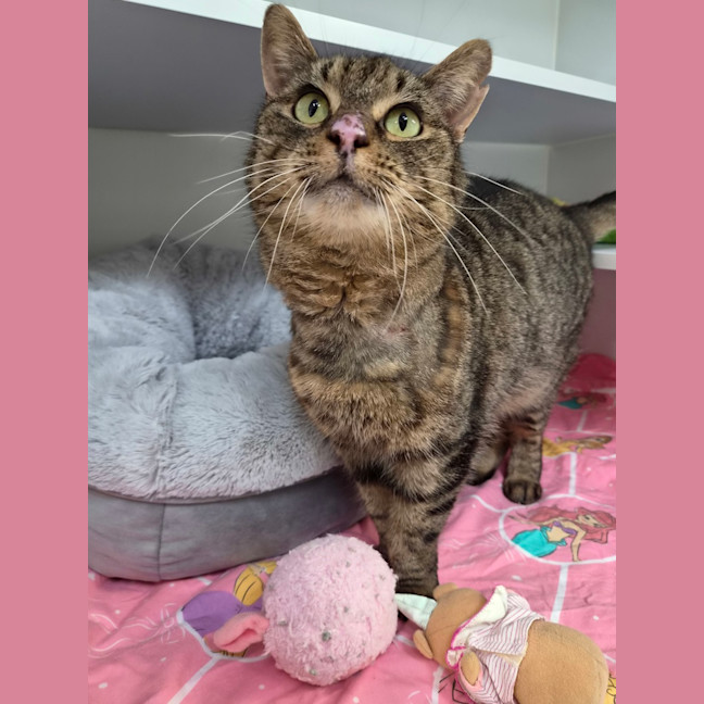 Photo of Mrs. Scraps