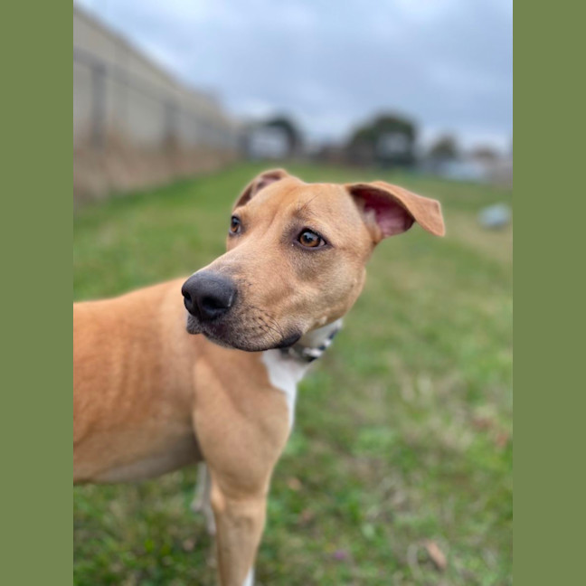 Photo of Izzy