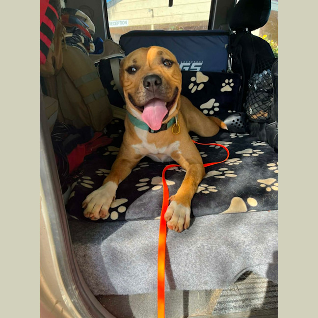 Photo of Zuko