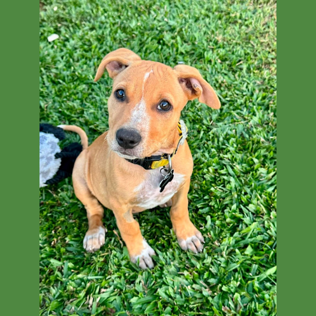 Photo of Axel