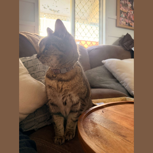 Photo of Asha