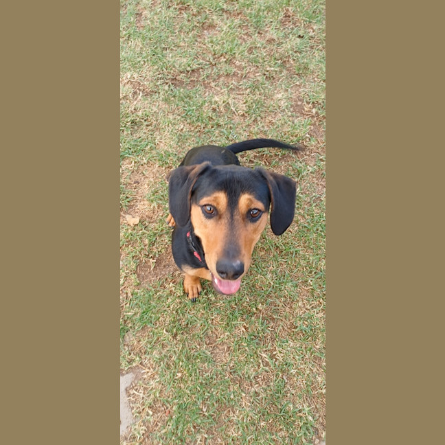 Photo of Ravi