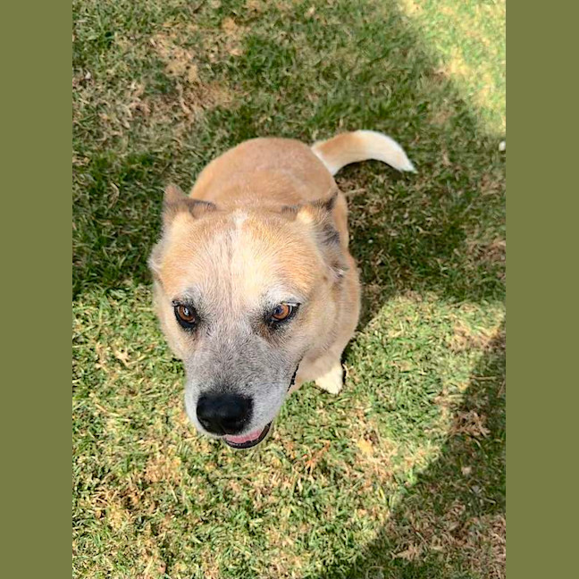 Photo of Red