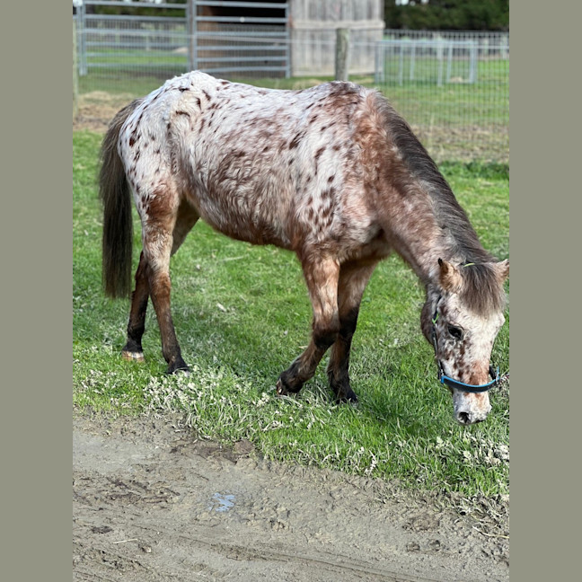 Photo of Elsie