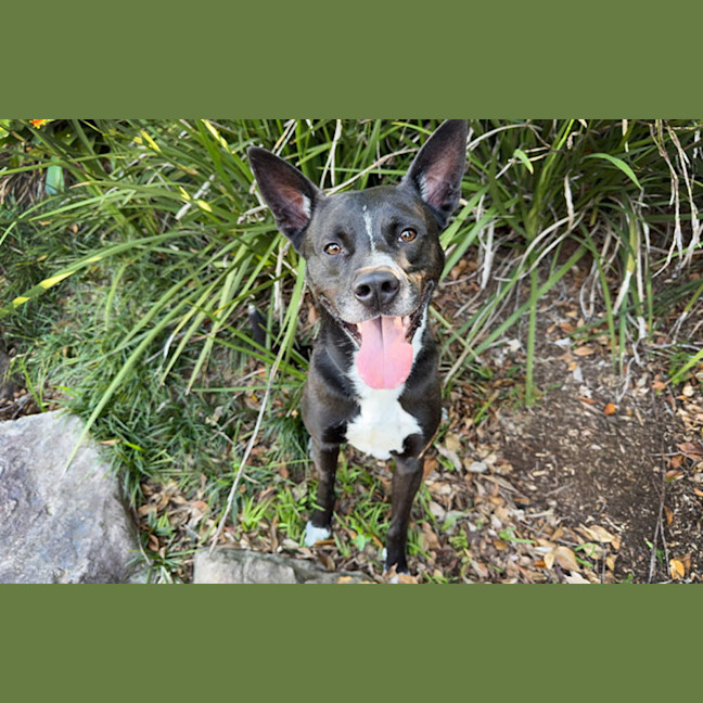 Photo of Little Bear