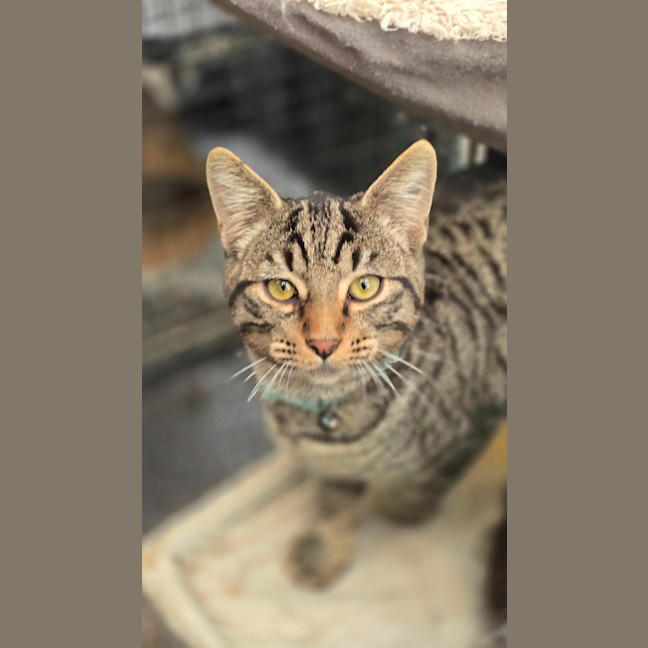 Photo of Spike