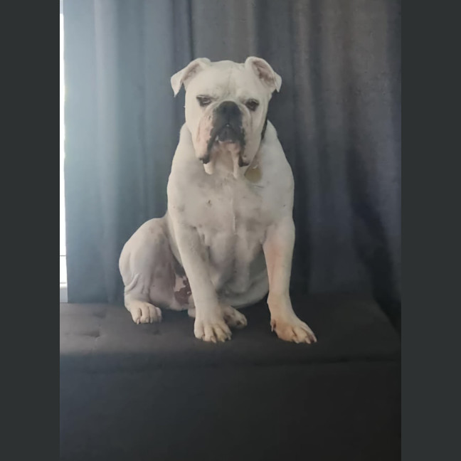 Photo of Stormin Normin