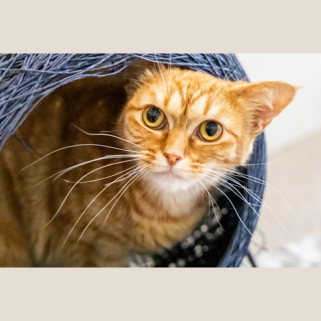 Photo of Doris The Librarian