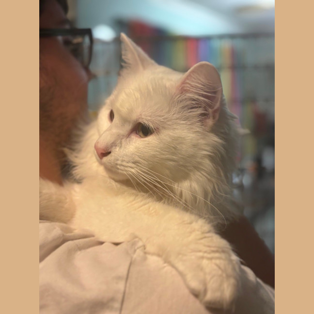 Photo of Hudson