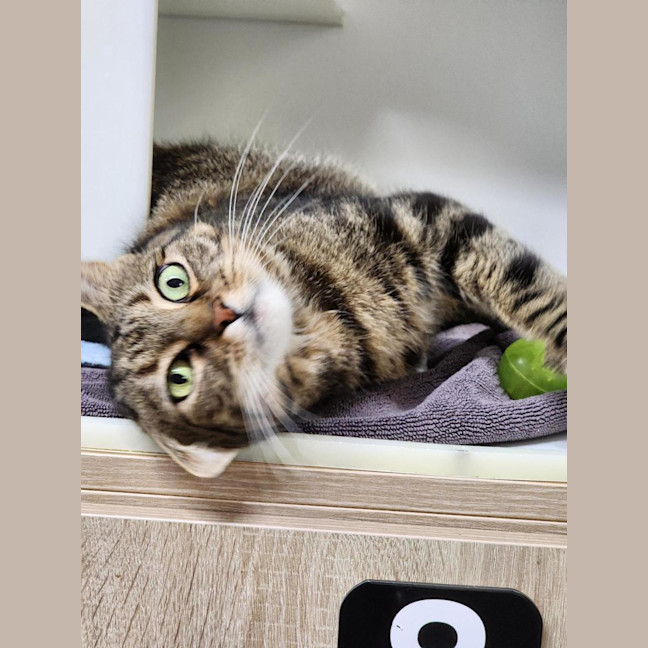 Photo of 🛝 Derek 6784 🛝