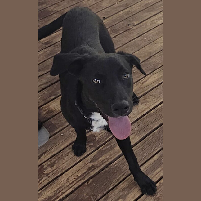 Photo of Turbo Aka Toby