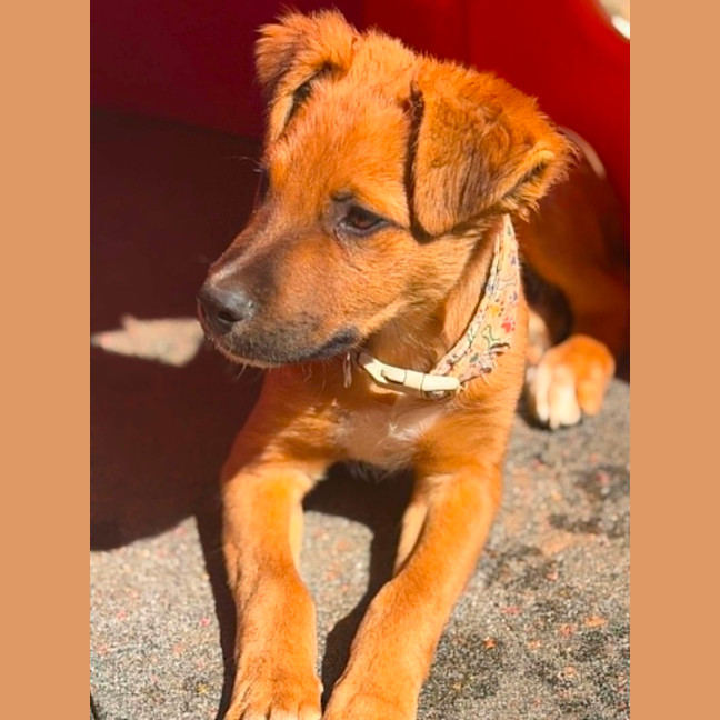 Photo of Jet Lee