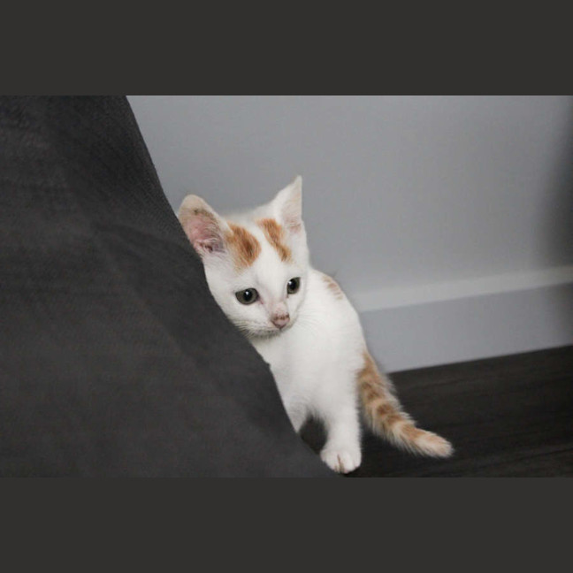 Photo of Leo