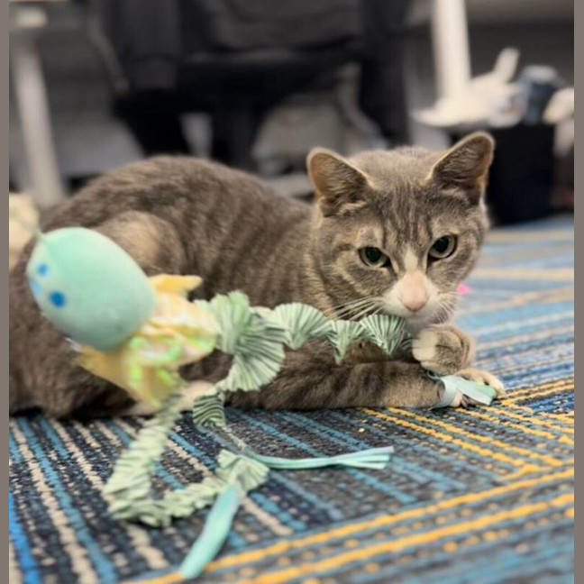 Photo of Bonnie
