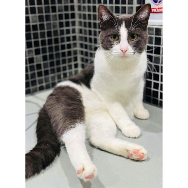 Photo of 12327   Theo