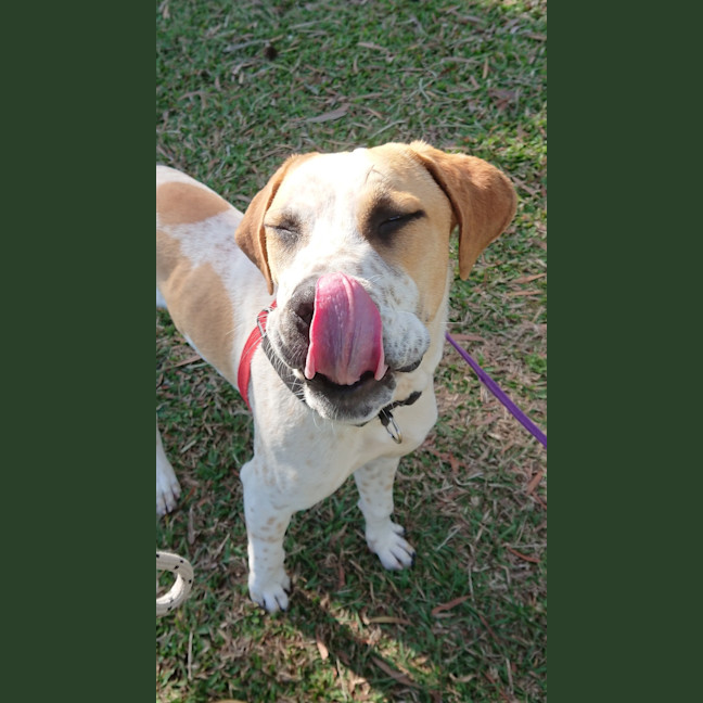 Photo of Casper