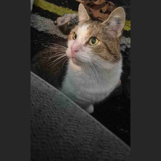 Photo of Tompy