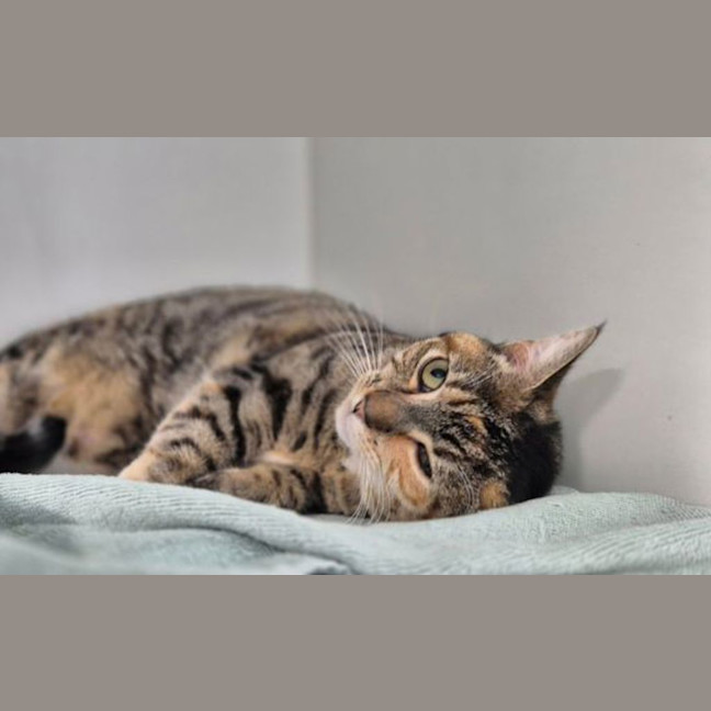 Photo of Matilda