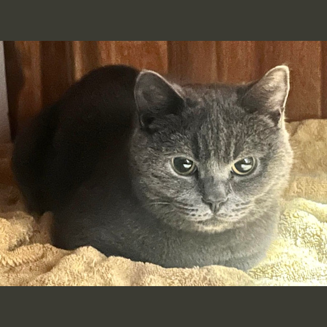 Photo of Miaowzzee
