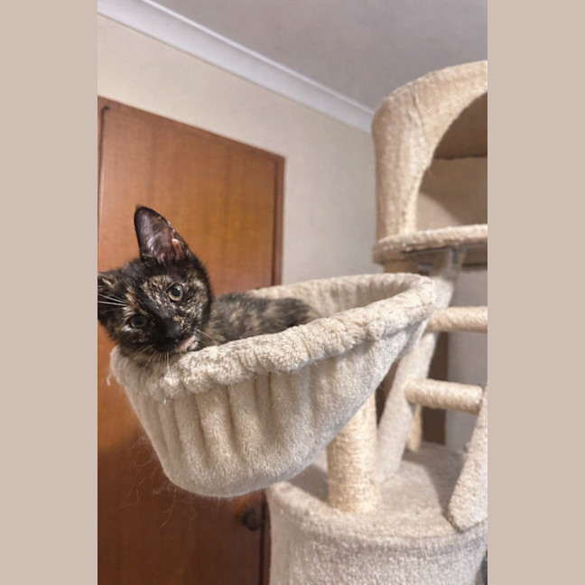 Photo of Diva