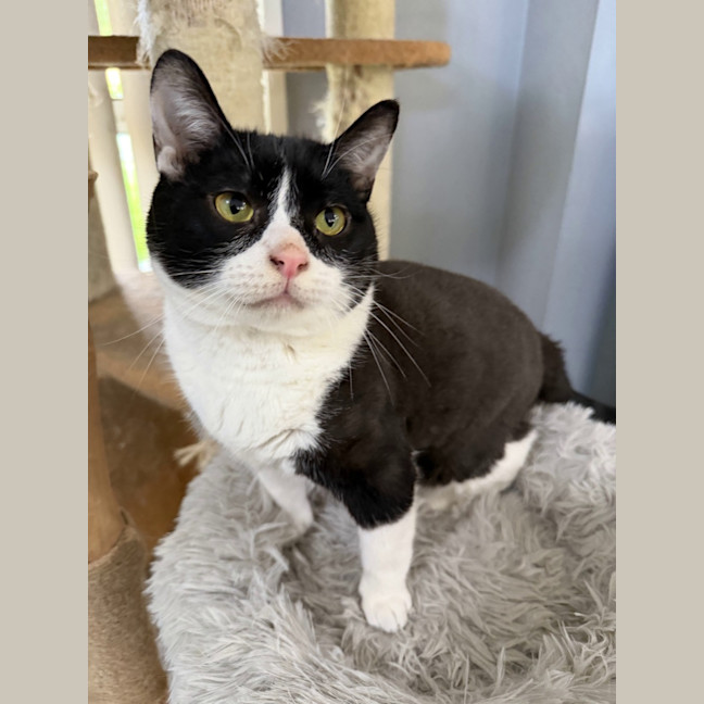 Photo of Diaz And Gucci