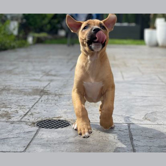 Photo of Molly 
