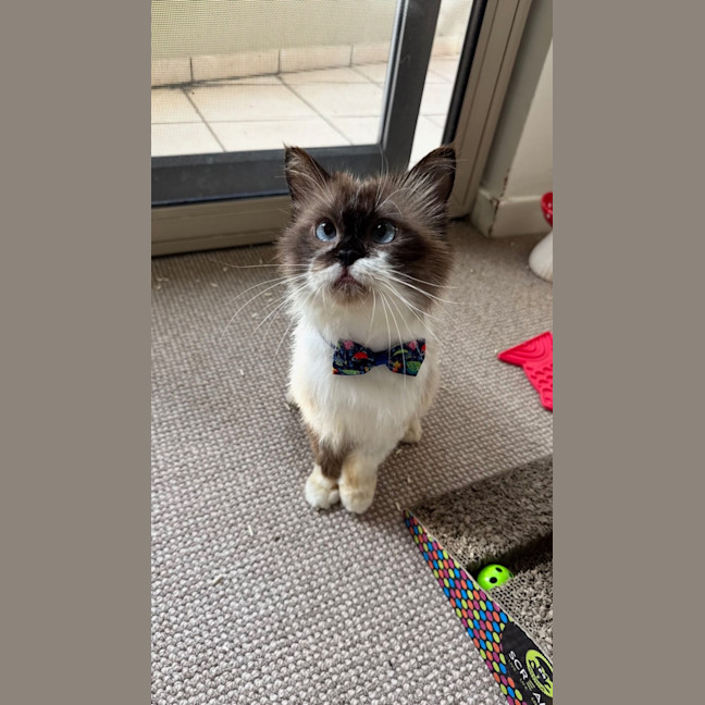 Photo of Edmund