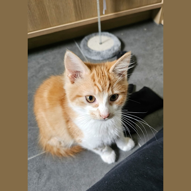 Photo of Almanac