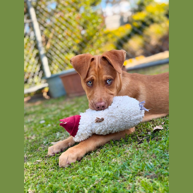 Photo of Ora