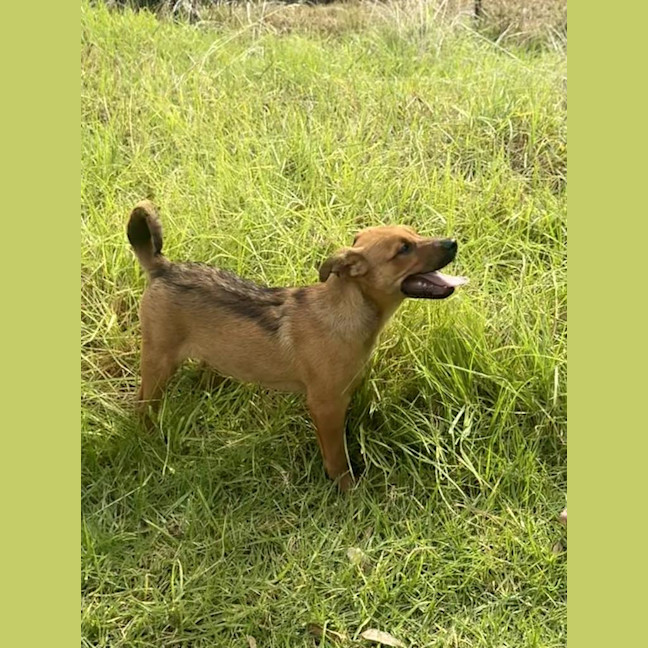 Photo of Jazz (Formerly Aza)