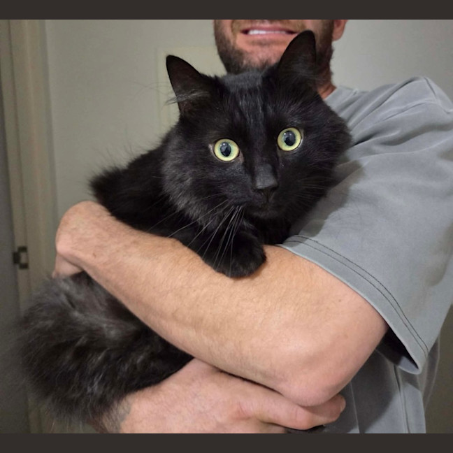 Photo of Whiskey 