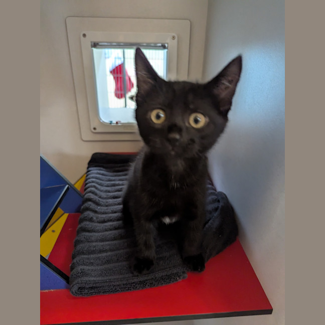 Photo of Gigi