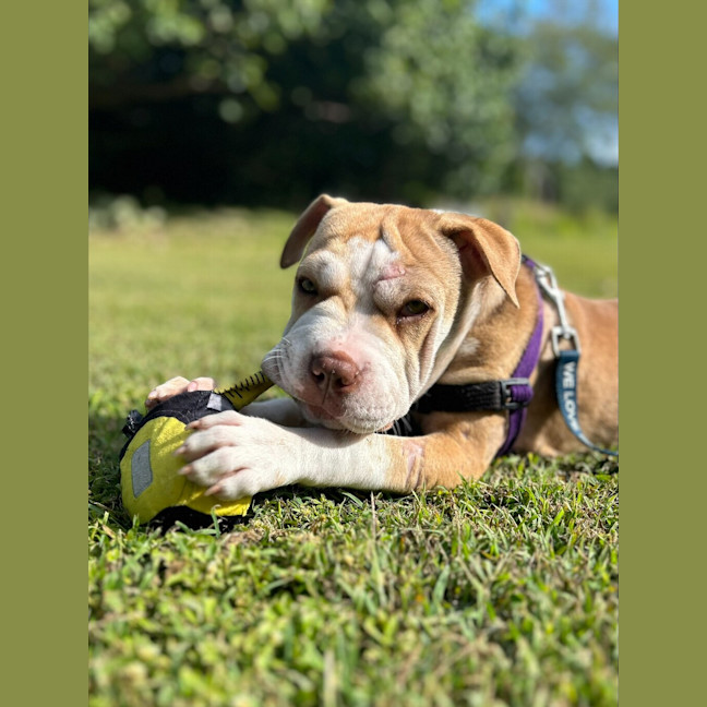 Photo of Milly