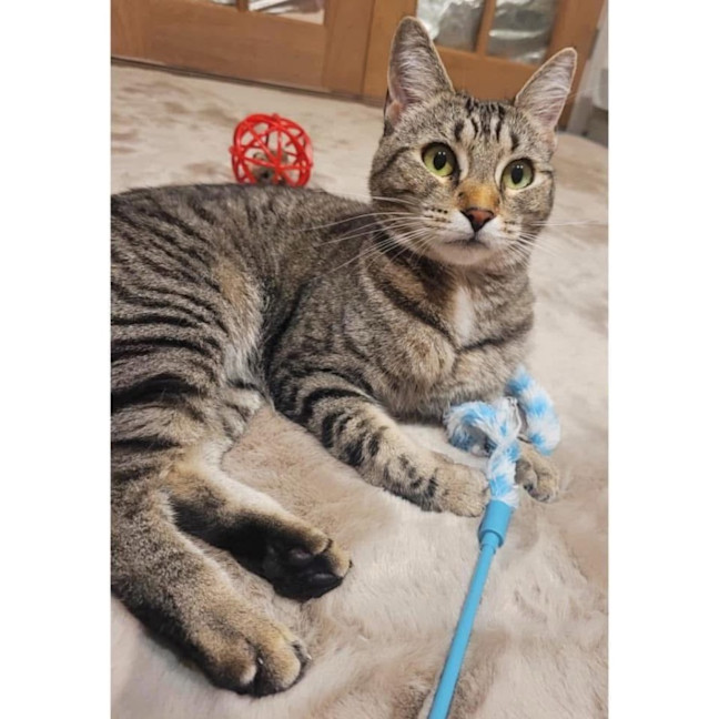 Photo of 12071   Luna