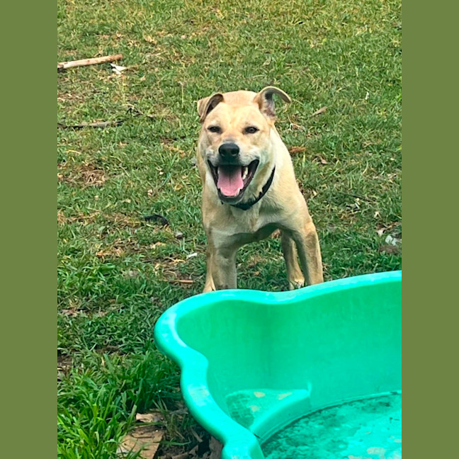 Photo of Ernie