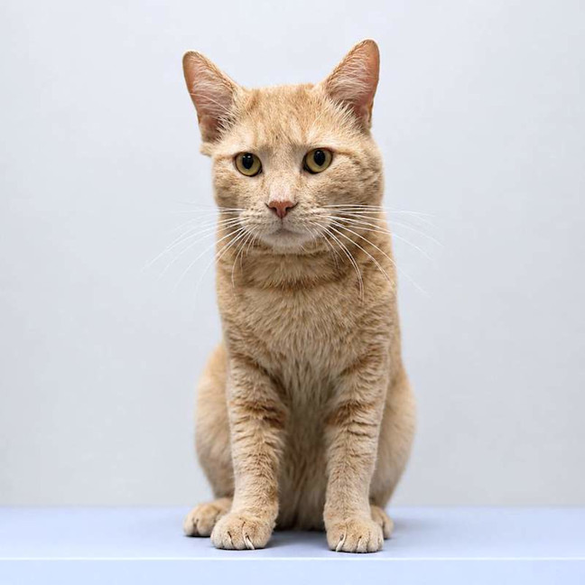 Photo of Eddie