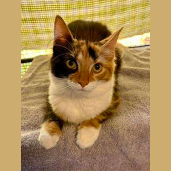 Photo of Belle