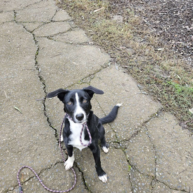 Photo of Freya