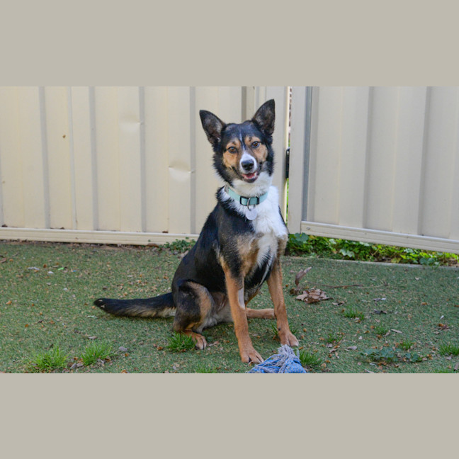 Photo of Lucy