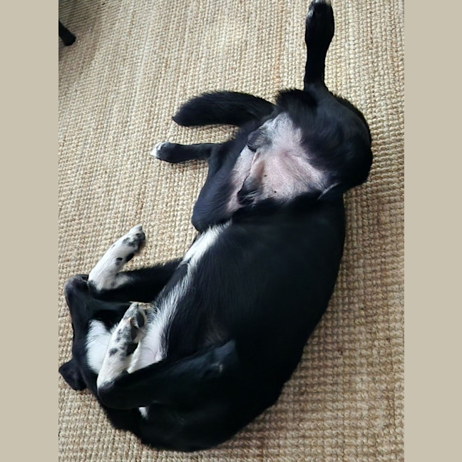 Photo of Billy