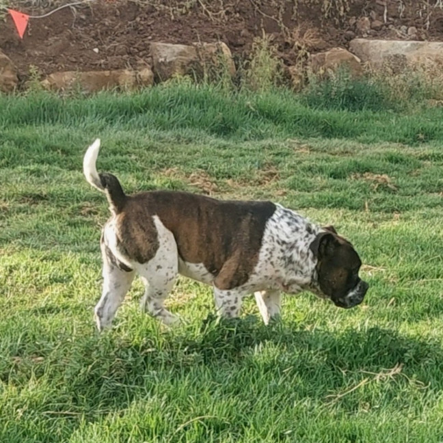 Photo of Uno