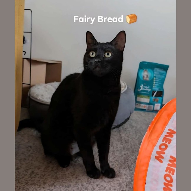 Photo of Fairy Bread