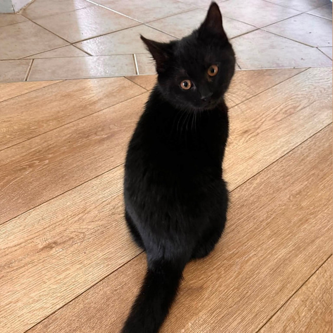 Photo of Gaia