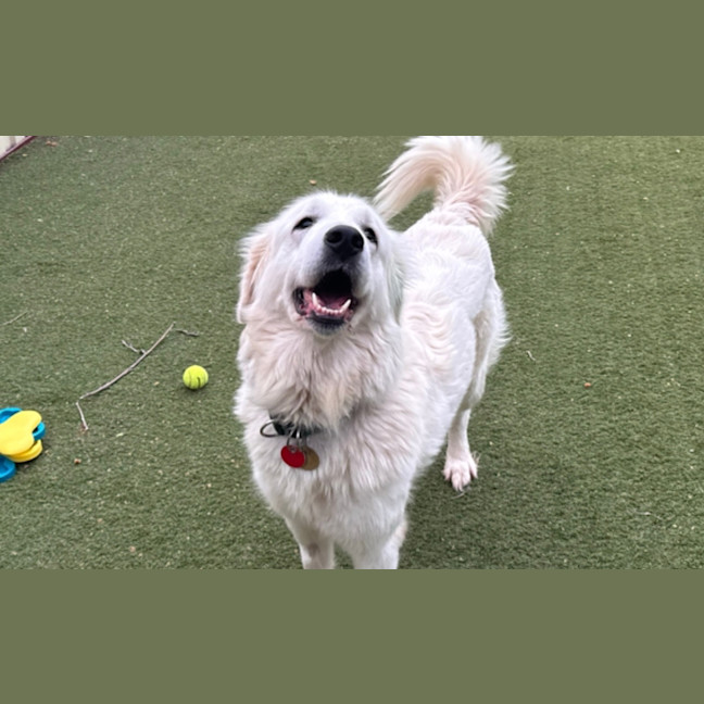 Photo of Darla